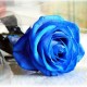 Blue Story Blue Story
