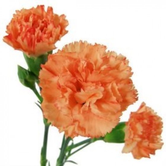 Orange World Vase Bouquet