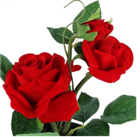 Love Romantic Love Romantic