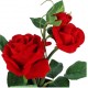 Love Romantic Love Romantic