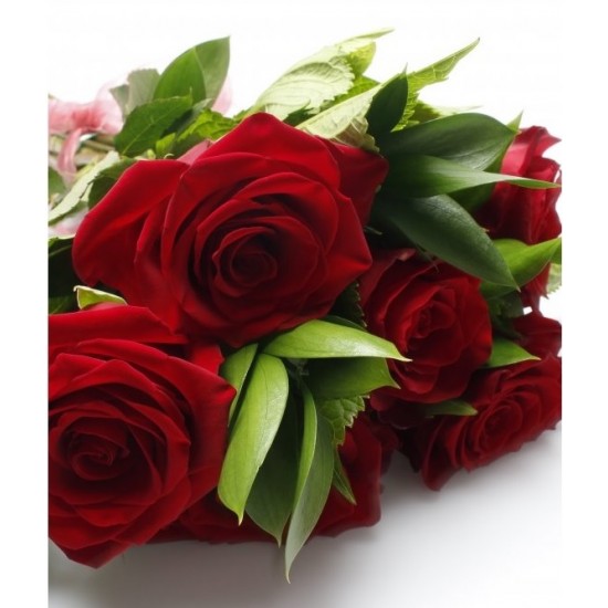 12pcs RED Roses Valentine Bouquet 12pcs RED Roses Valentine Bouquet