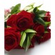12pcs RED Roses Valentine Bouquet 12pcs RED Roses Valentine Bouquet
