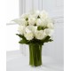 Calla White Calla White