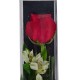 Elegant Single Rose Gift Box Elegant Single Rose Gift Box