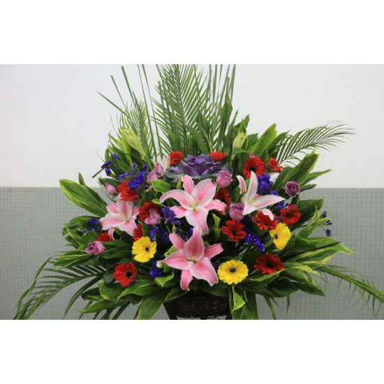 Flowers for Congratulations with Red Lily and Mixed Colors of Gerberas Flowers for Congratulations with Red Lily and Mixed Colors of Gerberas