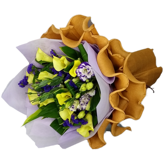 New Zealand Yellow Calla Lllies New Zealand Yellow Calla Lllies