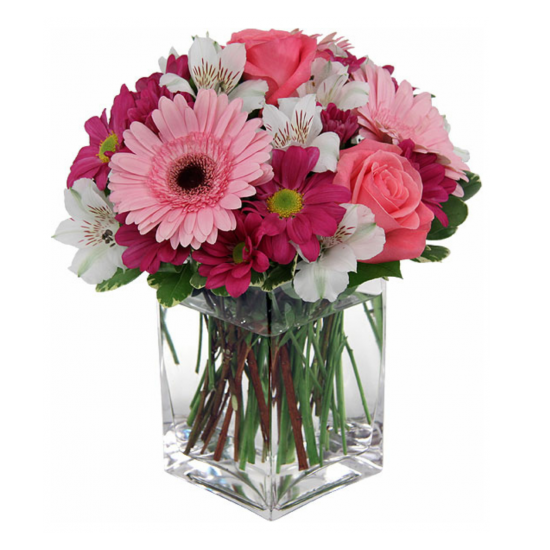Blushing Beauty Pink Blushing Beauty Pink