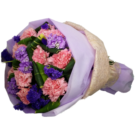 One Dozen Pink Color Carnations Bouquet in Round Shape One Dozen Pink Color Carnations Bouquet in Round Shape