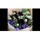 Black Color Calla Lily Bouquet