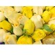 50 Stems Mix Color Roses Bouquet 50 Stems Mix Color Roses Bouquet