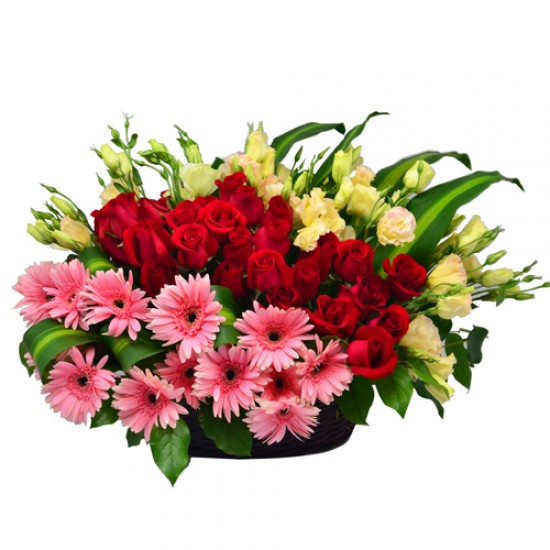 Colorful World with Two Dozen Red Roses and Pink Gerberas Basket Colorful World with Two Dozen Red Roses and Pink Gerberas Basket