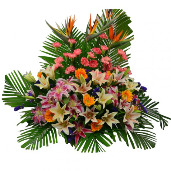 Prosperity Blooms Grand Opening Flower Arrangement Prosperity Blooms Grand Opening Flower Arrangement