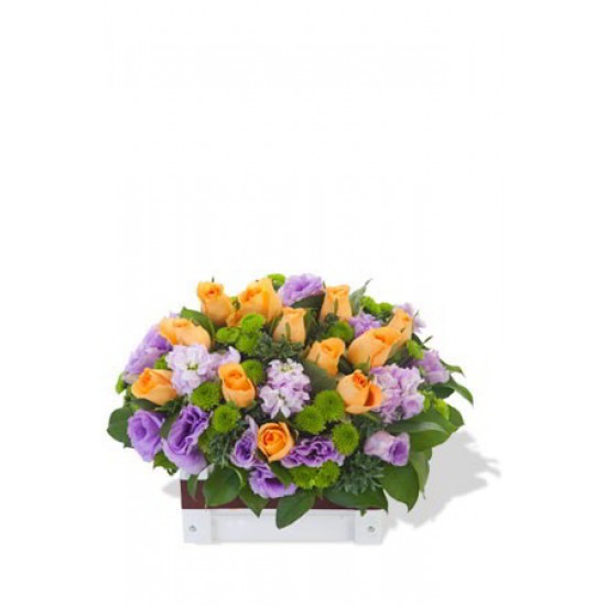 Orange Rose and Matthiola Arrangement Orange Rose and Matthiola Arrangement