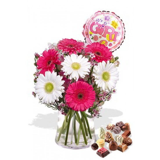 Gerbera Package , Chocolate Box and Its a Girl Helium Balloon Gerbera Package , Chocolate Box and Its a Girl Helium Balloon