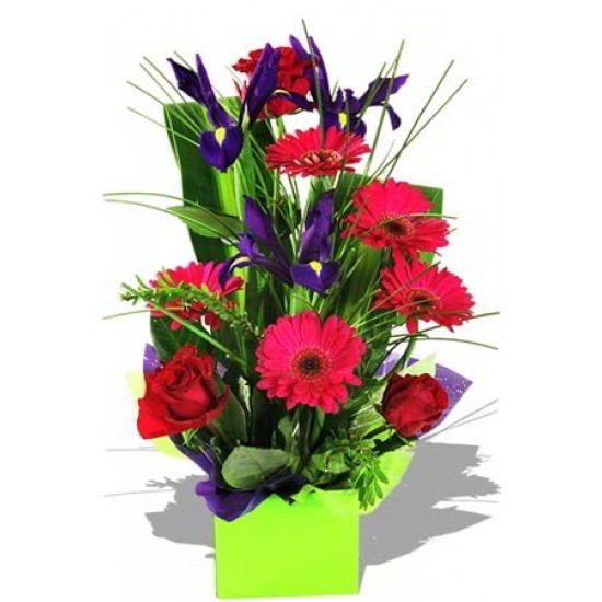 Assorted Arrangement , Iris, rose and gerbera Assorted Arrangement , Iris, rose and gerbera