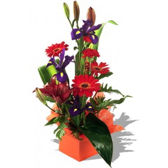 Assorted Arrangement Iris, gerbera and lily Assorted Arrangement Iris, gerbera and lily
