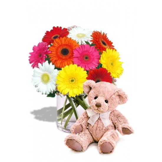 Gerbera Bouquet with Teddy Gerbera Bouquet with Teddy