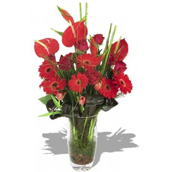 Modern Assorted Arrangement Modern Assorted Arrangement