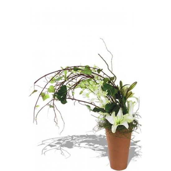 Windswept Arrangement Windswept Arrangement