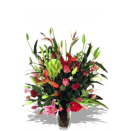 Large Assorted Arrangement Large Assorted Arrangement