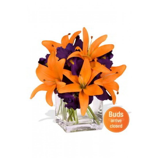 Iris and Lily Bouquet Vase Bouquet Iris and Lily Bouquet Vase Bouquet