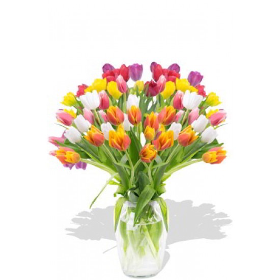 30pcs Large Mixed Color Tulips Bouquet