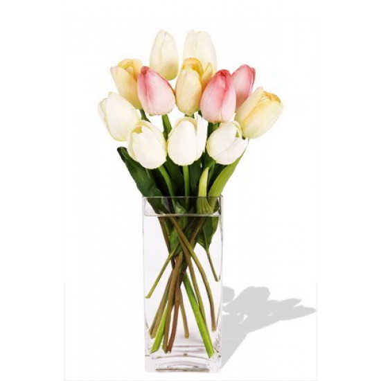 10 Mixed Holland Tulips Vase Bouquet 10 Mixed Holland Tulips Vase Bouquet