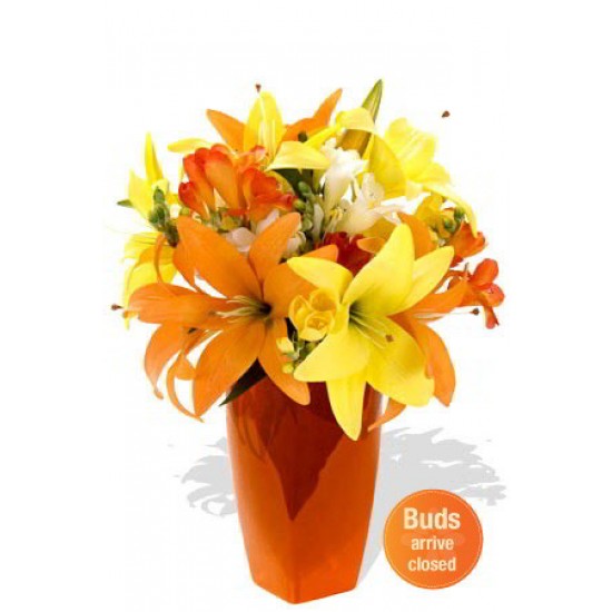 Mixed Asiatic and Freesia Bouquet ,6 Lily and 3 Freesia Mixed Asiatic and Freesia Bouquet ,6 Lily and 3 Freesia