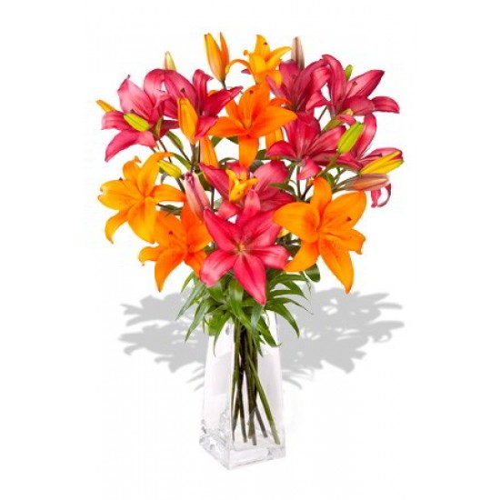 8 Stem Mixed Asiatic Bouquet 8 Stem Mixed Asiatic Bouquet
