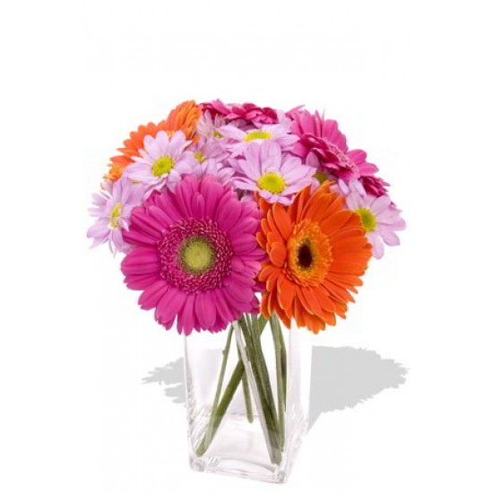 9pcs Mixed Gerbera and Chrysanthemum Vase Bouquet 9pcs Mixed Gerbera and Chrysanthemum Vase Bouquet