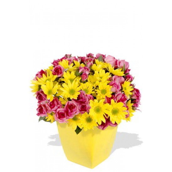 Spray Rose and Chrysanthemum Bouquet Spray Rose and Chrysanthemum Bouquet