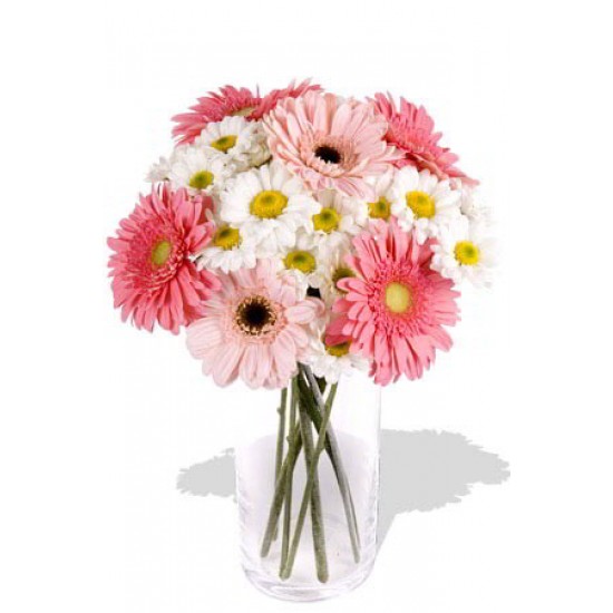 11pcs Mixed Gerbera and Chrysathemum Vase Bouquet 11pcs Mixed Gerbera and Chrysathemum Vase Bouquet