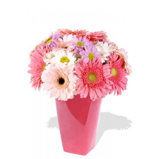 15pcs Mixed Gerbera and Chrysanthemum Vase Bouquet 15pcs Mixed Gerbera and Chrysanthemum Vase Bouquet