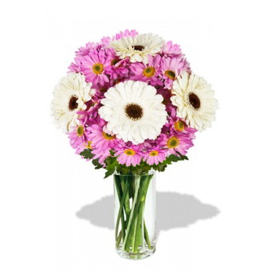 8pcs Gerberas and Chrysanthemum Vase Bouquet