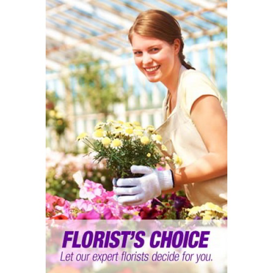 Florists Choice Mixed Bouquet Florists Choice Mixed Bouquet