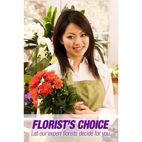 Florists Choice Mixed Bouquet 4 Florists Choice Mixed Bouquet 4