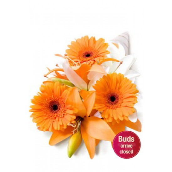 Asiatic and Gerbera Bouquet Asiatic and Gerbera Bouquet