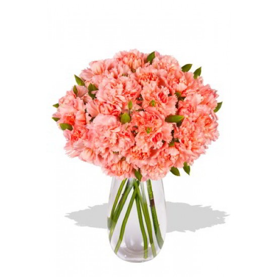Carnation Bouquet Carnation Bouquet