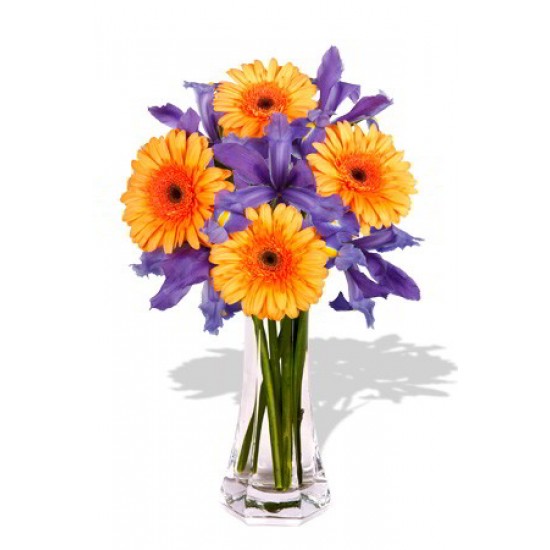 Gerbera and Iris Bouquet Gerbera and Iris Bouquet