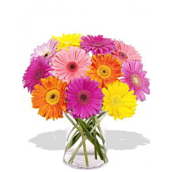 12 Mixed Color Gerberas Vase Bouquet 12 Mixed Color Gerberas Vase Bouquet