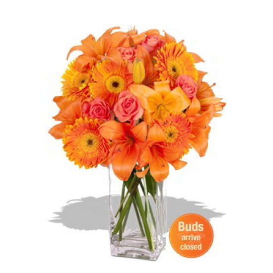 Asiatic, Gerbera and Rose Bouquet Asiatic, Gerbera and Rose Bouquet