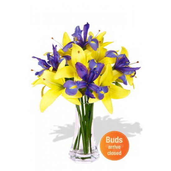 Asiatic Lily and Iris Bouquet Vase Bouquet Asiatic Lily and Iris Bouquet Vase Bouquet