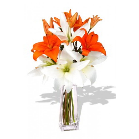 2 orange and 2 white Asiatic Lily Bouquet 2 orange and 2 white Asiatic Lily Bouquet