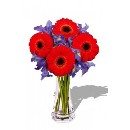 Gerbera and Iris Bouquet Gerbera and Iris Bouquet