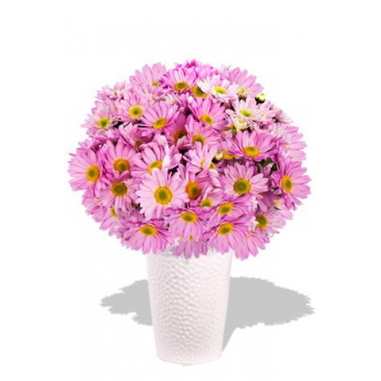 Chrysanthemum Bouquet Chrysanthemum Bouquet