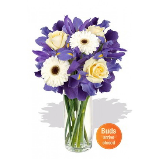 Mixed Bouquet ,2 Gerbera and 3 Rose Vase Bouquet Mixed Bouquet ,2 Gerbera and 3 Rose Vase Bouquet