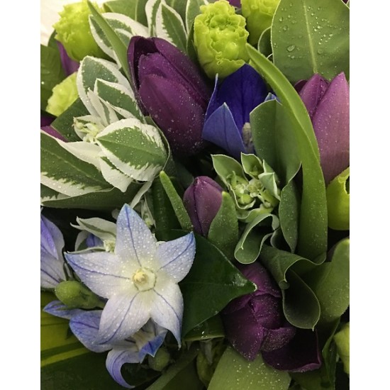 Holland Purple Tulips arrangement in Vase Holland Purple Tulips arrangement in Vase