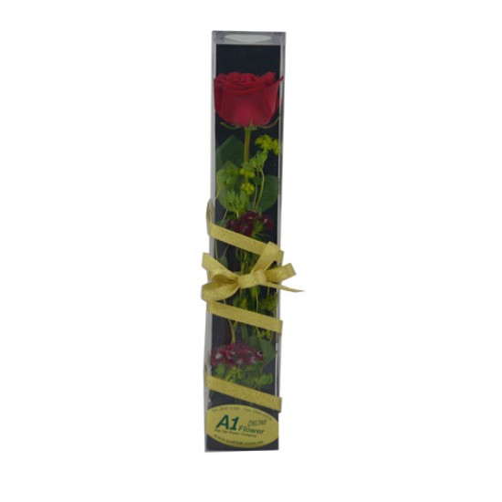 Elegant Single Rose Gift Box Elegant Single Rose Gift Box