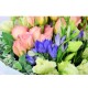 Classic One Dozen Rose Bouquet Classic One Dozen Rose Bouquet
