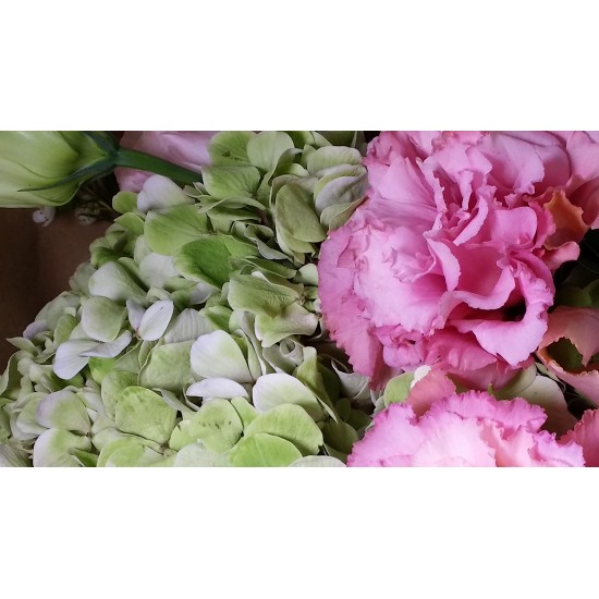 Two Hydrangea Bouquet Two Hydrangea Bouquet